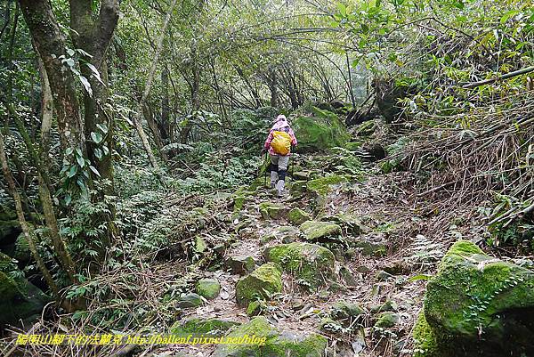 P1450660.jpg P1450660.jpg