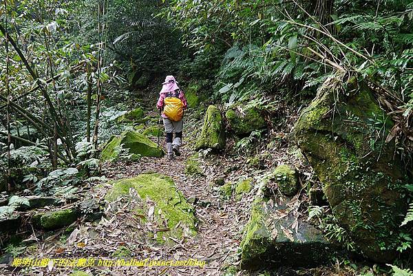 P1450661.jpg P1450661.jpg