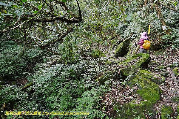 P1450662.jpg P1450662.jpg