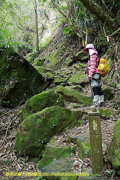 P1450666.jpg P1450666.jpg