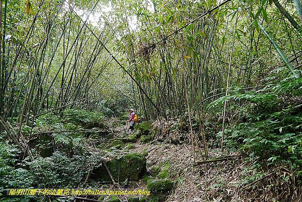 P1450668.jpg P1450668.jpg