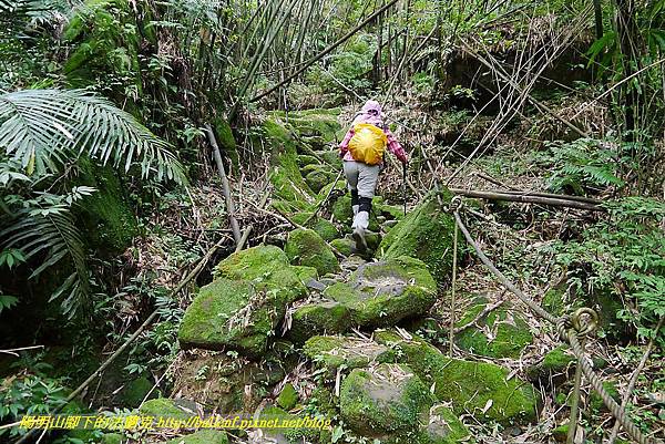 P1450669.jpg P1450669.jpg