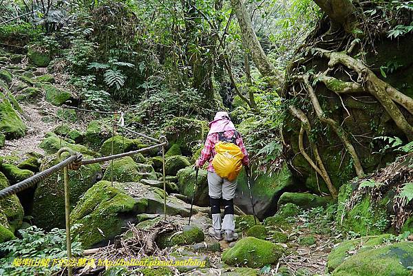 P1450670.jpg P1450670.jpg