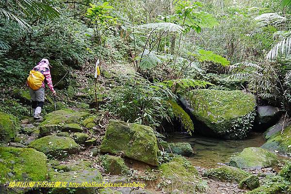 P1450674.jpg P1450674.jpg