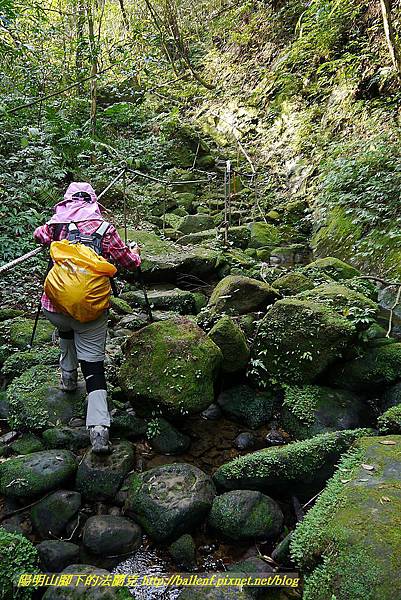 P1450678.jpg P1450678.jpg