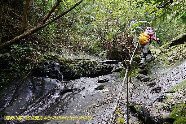 P1450681.jpg P1450681.jpg