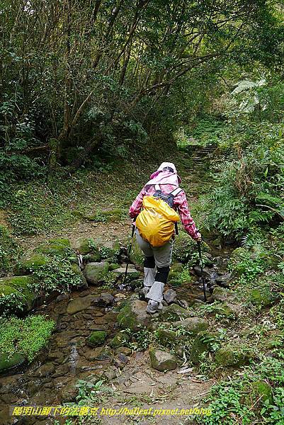 P1450684.jpg P1450684.jpg