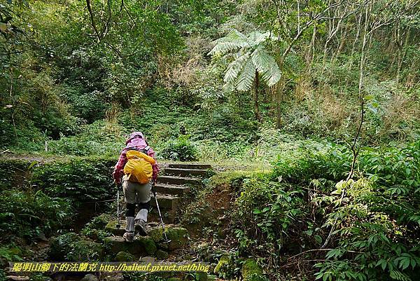 P1450685.jpg P1450685.jpg