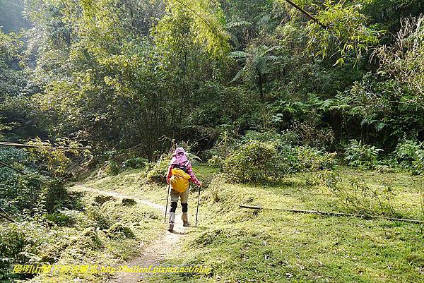 P1450687.jpg P1450687.jpg