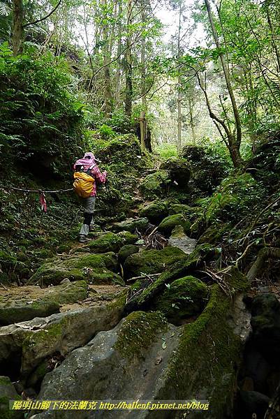 P1450690.jpg P1450690.jpg