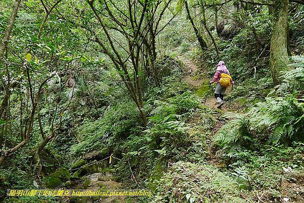 P1450693.jpg P1450693.jpg