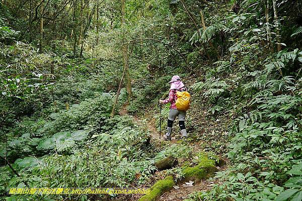 P1450694.jpg P1450694.jpg