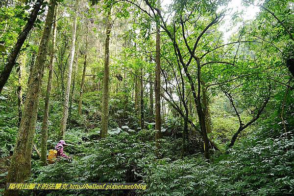 P1450697.jpg P1450697.jpg