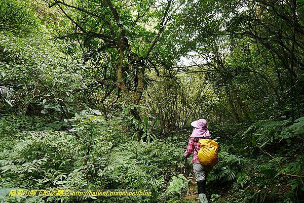 P1450699.jpg P1450699.jpg