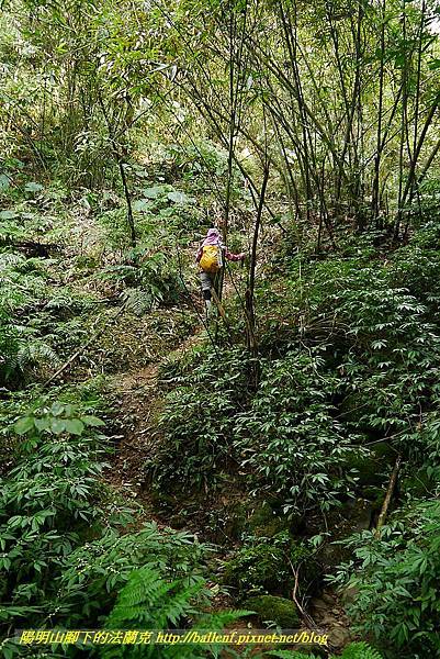 P1450700.jpg P1450700.jpg