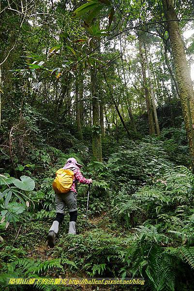 P1450701.jpg P1450701.jpg