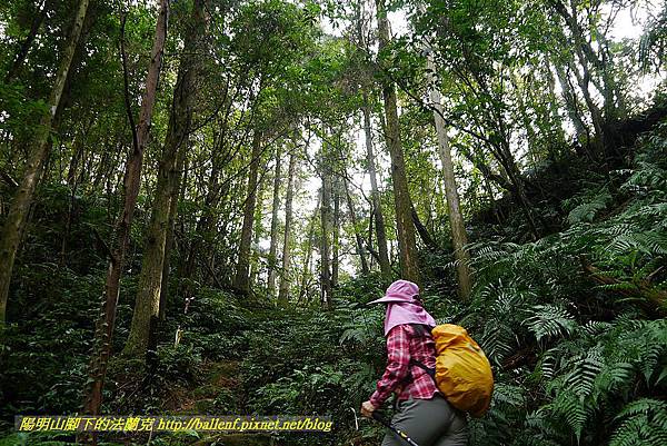 P1450702.jpg P1450702.jpg