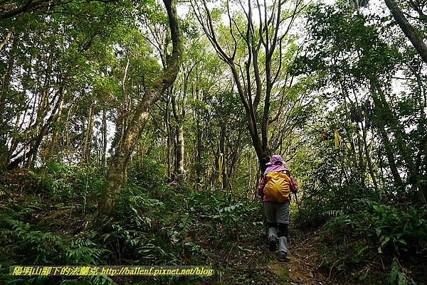 P1450705.jpg P1450705.jpg