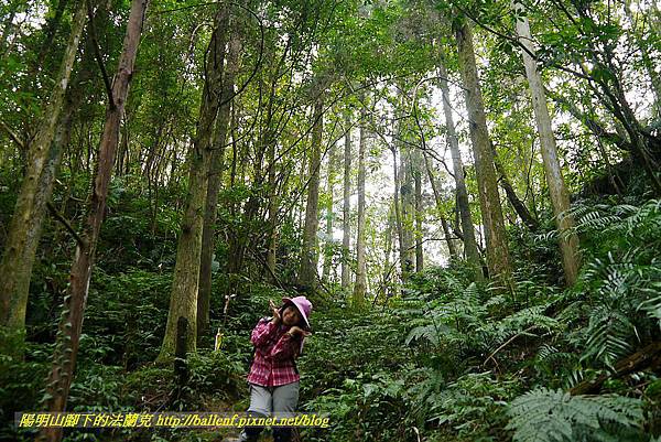 P1450703.jpg P1450703.jpg