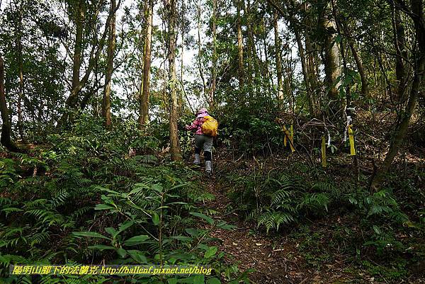 P1450706.jpg P1450706.jpg