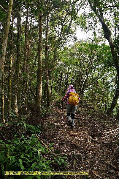 P1450708.jpg P1450708.jpg