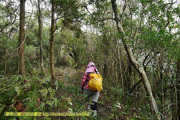 P1450709.jpg P1450709.jpg