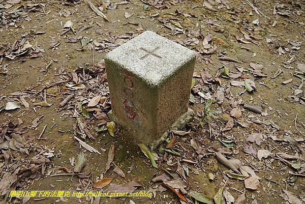 P1450713.jpg P1450713.jpg