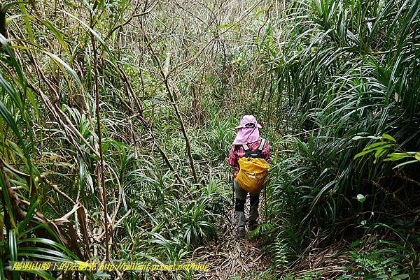 P1450719.jpg P1450719.jpg