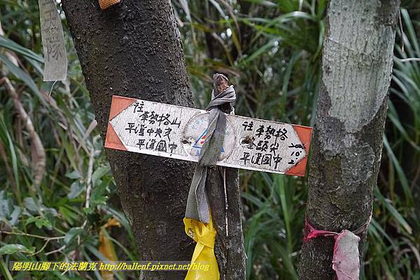 P1450718-1.jpg P1450718-1.jpg