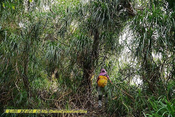 P1450720.jpg P1450720.jpg