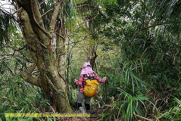 P1450721.jpg P1450721.jpg