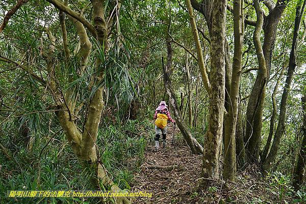 P1450722.jpg P1450722.jpg