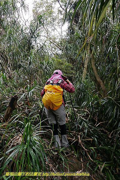 P1450724.jpg P1450724.jpg