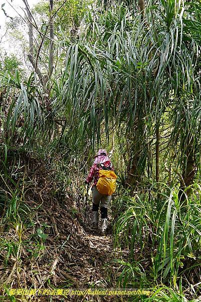 P1450725.jpg P1450725.jpg