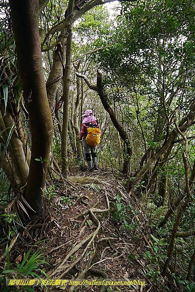 P1450727.jpg P1450727.jpg