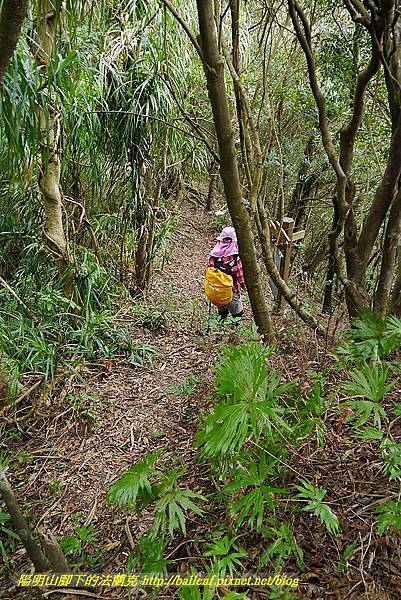 P1450728.jpg P1450728.jpg