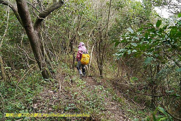 P1450730.jpg P1450730.jpg