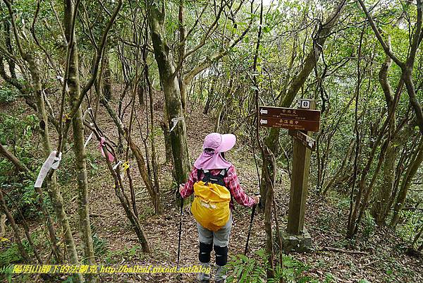 P1450731.jpg P1450731.jpg