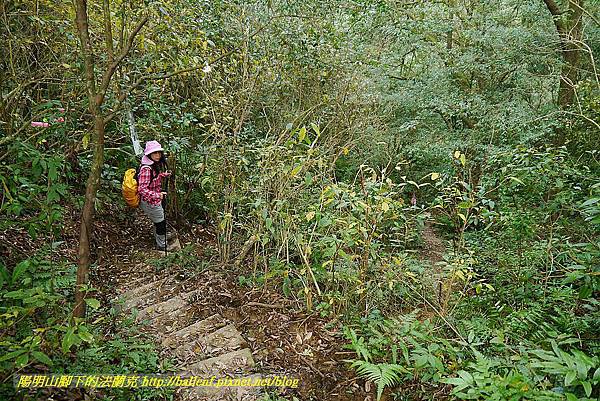 P1450732.jpg P1450732.jpg