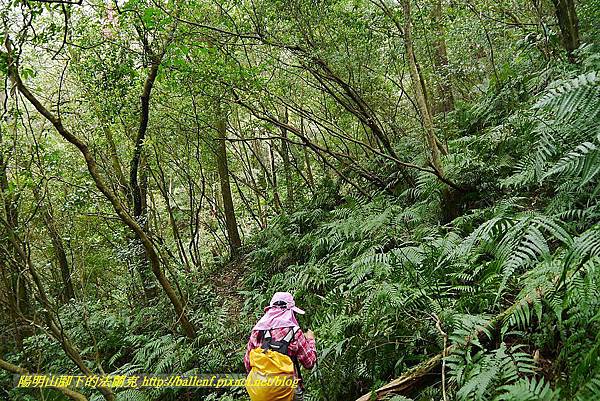 P1450733.jpg P1450733.jpg