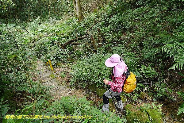 P1450734.jpg P1450734.jpg