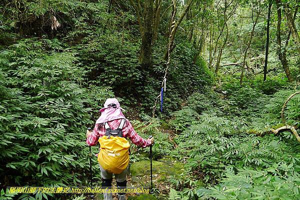 P1450735.jpg P1450735.jpg