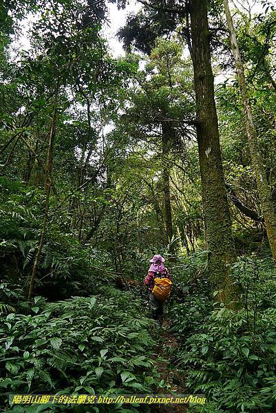 P1450736.jpg P1450736.jpg