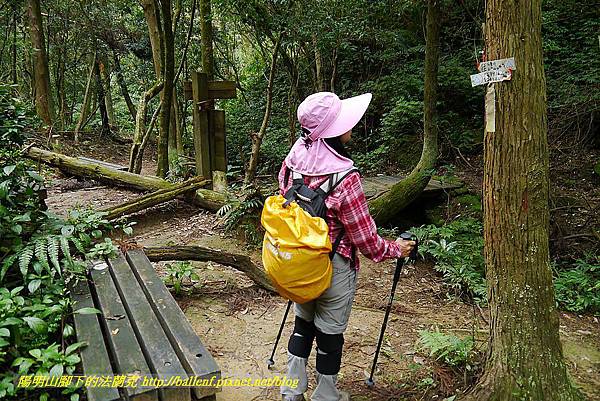 P1450737.jpg P1450737.jpg