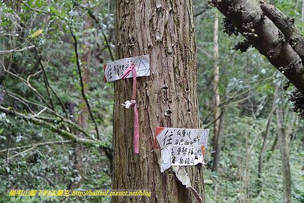 P1450738.jpg P1450738.jpg