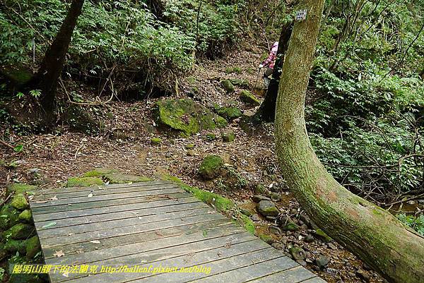 P1450740.jpg P1450740.jpg