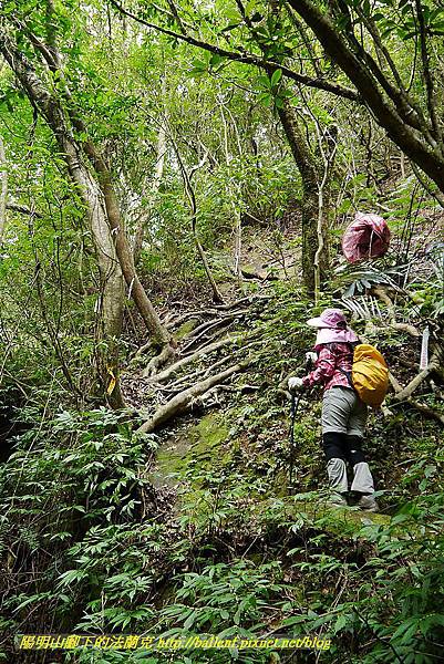 P1450742.jpg P1450742.jpg