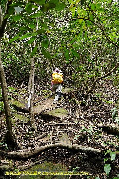 P1450743.jpg P1450743.jpg