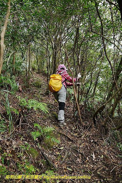 P1450746.jpg P1450746.jpg