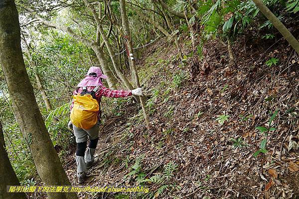 P1450747.jpg P1450747.jpg